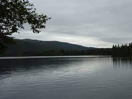 Byers lake campground in trapper creek alaska is a campground or rv park with immediate access to a lake. Byers Lake Campground Talkeetna Alaska Womo Abenteuer