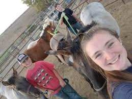 We are starting the last week of October and hitting our stride