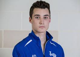 Lower Dauphin's Jefferson Waters leads list of Mid-Penn Keystone boys'  volleyball all-stars