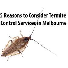 That's why it's important to know the things that can influence their prices. Pest Control Melbourne Price Pest Control Pricing Guide 2020