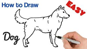 Now, it's time to fill in some details. How To Draw A Dog Easy Step By Step Animals Drawings For Beginners Youtube