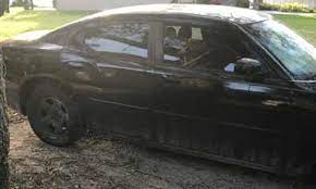 We are the leader in the cash for cars industry. Tampa Fl Cash For Cars Service We Buy Junk Cars From 100 7 500 Cash