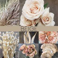These attractively priced dried flowers bulk are ideal for all occasions. Dried Flowers Dreisbach Wholesale Florists