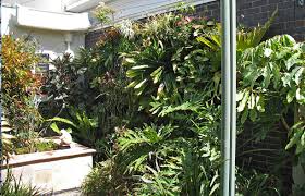 The flowers have been brushed with a fragrant stain to give them a. Straight Up Vertical Garden Lessons Renew