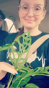 Should I repot my spider plant?