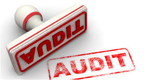 Image result for Recovery Audit Contractor