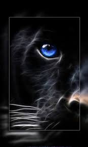 Bright neon light will shine and sparkle on your screen and mighty animals will protect you and your. Neon Animals Wallpapers For Android Apk Download
