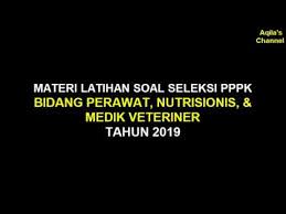 Contoh Soal Cpns 2018 Latihan Soal Seleksi Pppk 2019 Bidang Perawat Nutrisionis Medik Veteriner Icpns
