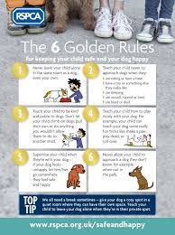 How To Keep Pets Safe During Fireworks The Whoot Fireworks Pet Safety Tips Kids Safe Best Pets For Kids Dogs And Kids