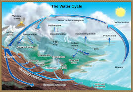 One for printing (which also includes an answer key), and another written like a form with fields that the students can fill in with. Biogeochemical Cycles Openstax Biology 2e