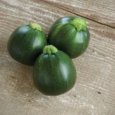 Eight Ball Zuchinni Squash Seeds Zucchini Plants Zucchini