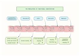 Image result for Functional Encopresis