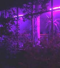 Tumblr is a place to express yourself, discover yourself, and bond over the stuff you love. Tumblr Purple Background Images On Favim Com