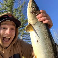 ᐅ Alford Creek fishing reports🎣• Alberta, Canada fishing