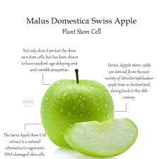 In 2003, scientists discovered a unique type of apple tree, secluded in a forest 3,797 meters above sea level in the alps of northern switzerland. What Are Swiss Apple Stem Cells And How Do They Benefit Your Skin Applestemcells Antiagingskincare Healthyskincareproducts Getgreatskinagain Epiceskincar