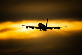 Image result for Federal Yellow 2000 Fleet