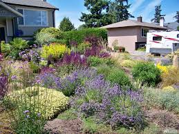 Historic Plants Name That Plant Drought Tolerant Garden Drought Resistant Landscaping Drought Tolerant Landscape