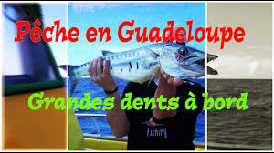 Peche Traditionelle En Guadeloupe Barracudas Et Bonites Dans La Mer Des Caraibes Youtube