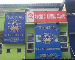 Buat Teman Teman Yang Belum Tau Alamat Clow Cat Lovers In The World Facebook