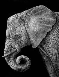 Elephant Ink Illustration Elephant Art Elephant Illustration Elephant Drawing