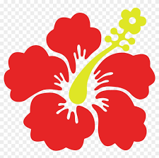 White tropical flower on a black background seamless pattern stock. Big Image Big Tropical Flowers Clipart Free Transparent Png Clipart Images Download