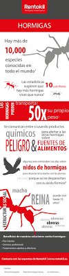 Por favor difúndalo si es así… Tratamientos Contra Hormigas Para Eliminarlas