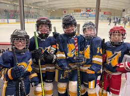 Needham Youth Hockey Association (@needhamyouthhockey) • Instagram फोटोहरू  र भिडियोहरू