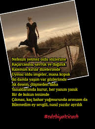 Edebiyatcicash Dirensiir Siirsokagi Siirsapagi Siirsandigi Camkirigiedebiyat Gece Edebiyat Siir