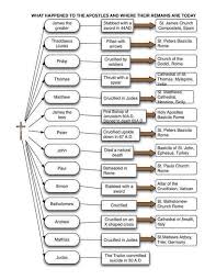 The Apostles Chart By Dr Scott Hahn Showing The