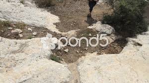 King David Running from Saul, Biblical Reenactment