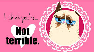 Looking for funny valentine puns to share on valentine's day? Grumpy Cat Valentines Day Cards Vallentine Gift Card