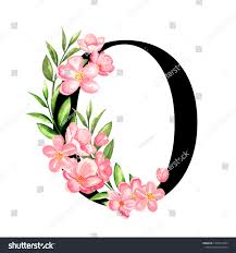 See more ideas about letter o, lettering, lettering alphabet. Alphabet Letter O Monogram Floral Design Stock Illustration 1376214053 Shutterstock