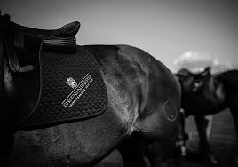 List of banks operating in germany including business focus, customer rating and total assets. Berenberg Is Best Private Bank In Germany For The Eighth Time In A Row