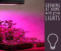 Kelvins refer to the warmth and color of the light being emitted. How To Choose The Best Grow Lights For Indoor Plants Ideas Advice Lamps Plus