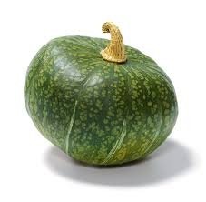 Image result for Cucurbita
