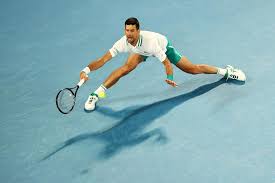 Me looking at reddit's salty tears as a djokovic fan. World No 1 Novak Djokovic Overcomes Oblique Injury To Move Into Australian Open Quarterfinals