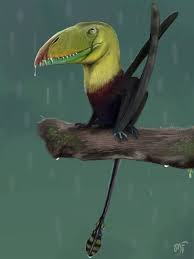 Dimorphodon was a pterosaur, or flying reptile of the early jurassic period.it was a poor flier compared to later pterosaurs like pteranodon and tended to clamber about on four legs. Dimorphodon A Genus Of Pterosaur From Early Jurassic England It Had A Wingspan Of About 1 45 M And A Large Bulky Skull Of Approximately 23 Cm By Paleolee Paleontology