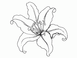 We did not find results for: Lily Pad Flower Coloring Pages Coloring Home