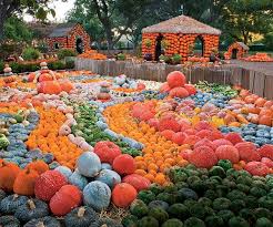 Check spelling or type a new query. The South S Best Pumpkin Patches Southern Living