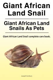 Giant african land snails need a source of calcium to keep their shells healthy. Giant African Land Snail Giant African Land Snails As Pets Giant African Land Snail Complete Care Book Dunbury Joseph 9780993313332 Amazon Com Books