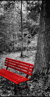 Red Bench Banc Rouge Photo Noir Et Blanc Parapluie Rouge