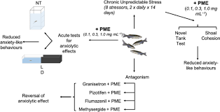 Image result for Pseudospondias