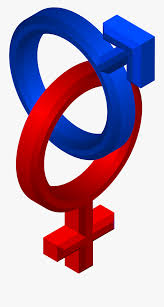 Sebelum kita dapat mengerti dan memahami arti dari lambang pancasila, kita harus mengenal dulu apa sebenarnya yang dimaksud dengan pancasila. Clipart Male Female Symbols Simbol Pria Dan Wanita Free Transparent Clipart Clipartkey