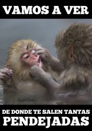Memes Chistosos De Amor 57 Ideas For 2019 Funny Relatable Memes Memes Funny Faces Funny Baby Jokes