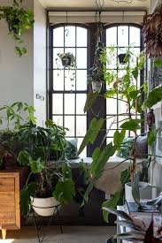 The Plant Doctor S Baltimore Home And Studio Are Absolutely Filled With Gorgeous Green Plants Plants Apartment Garden Large Gallery Wall