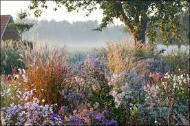 Ein garten mit großer wachstumsdynamik, der immer wieder überraschungen bietet. 220 Wilder Garten Ideen In 2021 Garten Garten Ideen Gartengestaltung