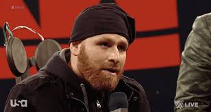 Svg ai png 300 dpi jpg during the file upload process, there may be missing svg, ai, png, jpg files if any file you are missing, you can message us, so that we will resend the file to you immediately. 10 Things You Didn T Know About Sami Zayn