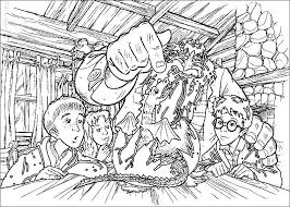 Sep 9 2013 harry potter hermione granger coloring page. Online Coloring Pages Potter Coloring Hagrid Harry Ron And Hermione Harry Potter