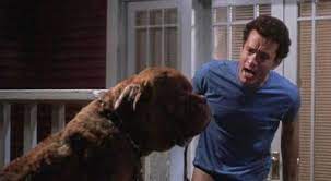 Turner Hooch These Are The Simple Rules No Barking No Growling You Will Not Lift Your Leg To Anything In Th Mastiffs Turner And Hooch Giant Dog Breeds