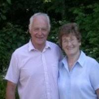 Image result for Lopholaena dolichopappa